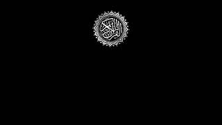 footage Quran / Футаж Коран анимация