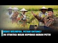 Indonesia Surplus Pangan! Stok Beras Tertinggi 23 Tahun &amp; Strategi Koperasi Merah Putih