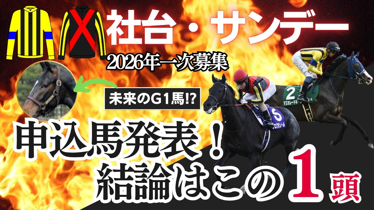 競馬　非売品2026年サンデーレーシング社台G1オーナズ　カタログ新品未使用 一口馬主】未来のG1馬を探せ！2026年社台・サンデー応募馬発表！「今年