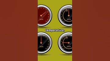 Scalar vs Vector  5 Key Difference