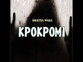 Shatta Wale – Kpokpomi (Official Lyric Video)
