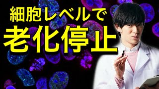 【老化停止】細胞を9年若返らせる方法