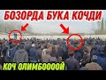 БОЗОРДА БУКА КОЧИБ КЕТДИ ОЛИМБОЙ ХАЙРАТДА 2021(Охунов тв)