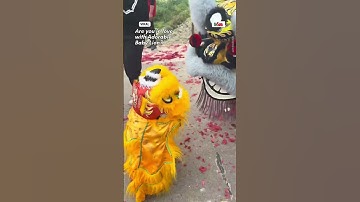 Thumbnail of Make Way for the Adorable Baby Lion Dance!