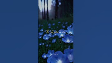 الشيخ ياسر الدوسري#qho_w #al1thekr #quran #quran_alkarim #ياسر_الدوسري #سورة_التوبة