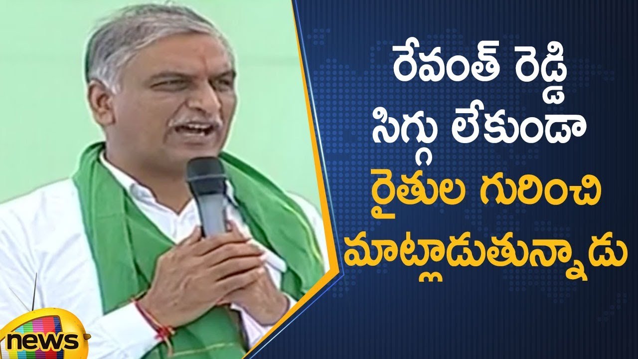 Minister Harish Rao Slams TPCC Chief Revanth Reddy | Telangana Political News | Mango News