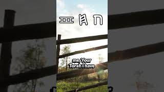 Halleluyah Scriptures  Tehillim Book Of Psalms Chapter 119 Chet