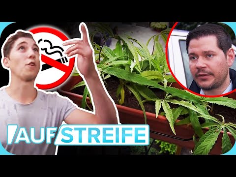 Video: Auffällige Blumentöpfe