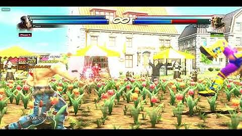 My favourite Tekken Tag 2 Bryan/Steve Combo