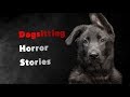 3 Scary True Dog Sitting Horror Stories