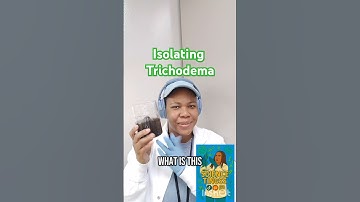 Hunting #trichoderma: From the soil to the petri dish #shorts