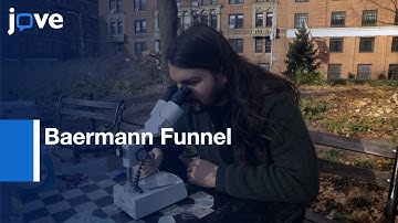 Wild Nematodes Rapid Isolation by Baermann Funnel | Protocol Preview