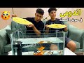 ولد يملئ حوض السمك بالاندومي لكي يتحدي صديقه 