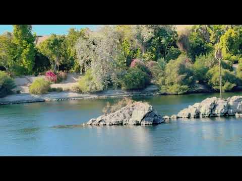 رقية الدماء الزوهرية وطاقة الزوهري و هالة الزوهري و حواس الزوهري