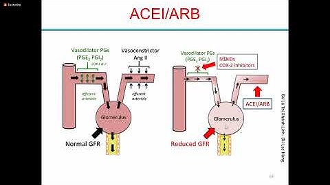 DƯỢC LÂM SÀNG NÂNG CAO - TĂNG HUYẾT ÁP ( 1/8/21)