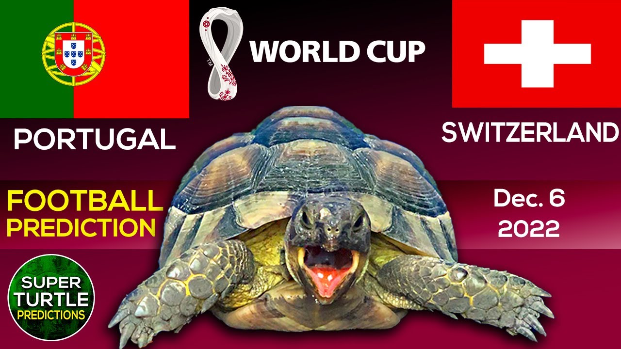 Portugal vs Switzerland β½ FIFA World Cup 2022 | π’ Turtle Football Predictions