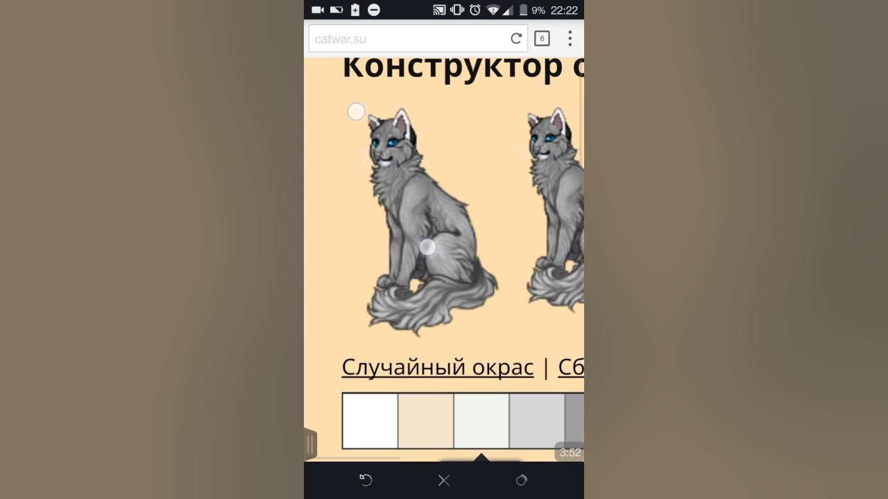 Окрасы catwar