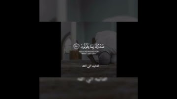 مقاطع قران قصيرة بصوت طارق محمد -😴💗حالات واتس اب دينيه - تلاوة خاشعة