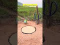 “Hidden Tricks of Parrots” #funny #parrot #trap #shorts