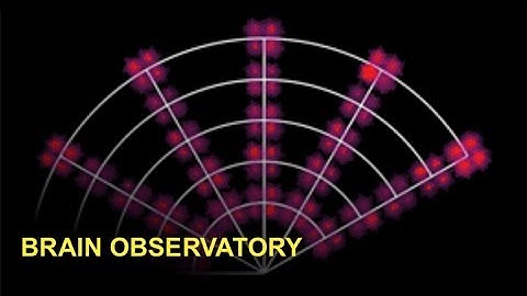 Tutorial:  Allen Brain Observatory – Visual Coding Dataset
