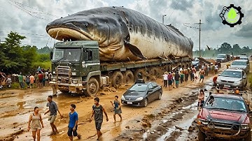 You Won’t Believe These 🚀 Tree Cutting Machines in Action | Modern Logging & Forestry Tech 2025