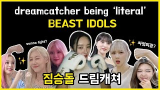 dreamcatcher being 'literal' beast idols 💪 짐승돌 드림캐쳐