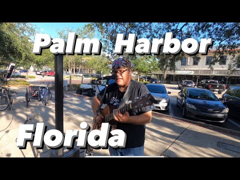 Palm Harbor. Florida . USA🇺🇸. 4K