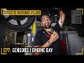 🎥 Ep7: Engine bay wiring - sensors, throttle body, fans and more | DAVE'S WIRING VLOG