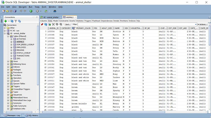 APEX09.SQL01: Modify data.  Use UPDATE & ROLLBACK commands and LOWER() & UPPER() functions.