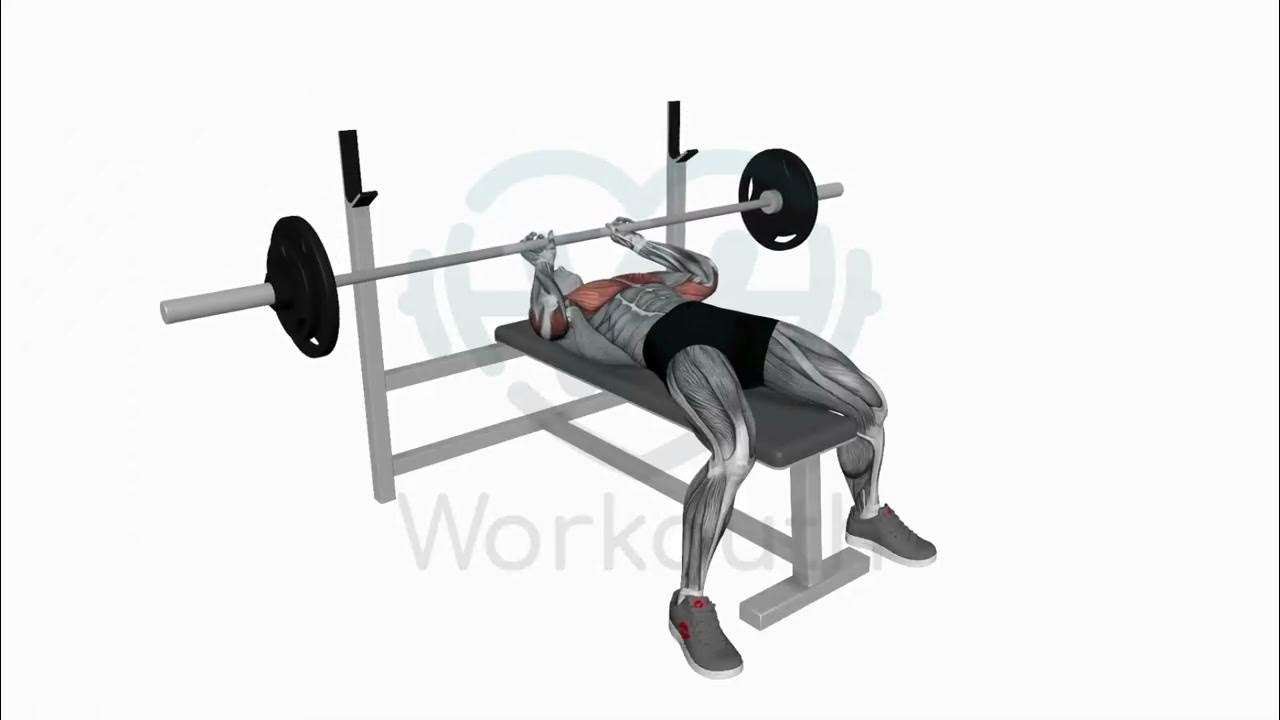 Barbell JM Bench Press 2 YouTube