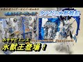 【仮面ライダーブレイズ タテガミ氷獣戦記！】装動仮面ライダーセイバーBook７より、ホモサピエンス氷獣王が登場！（SODO KAMEN RIDER  TATEGAMI HYOUJUUSENKI ！）