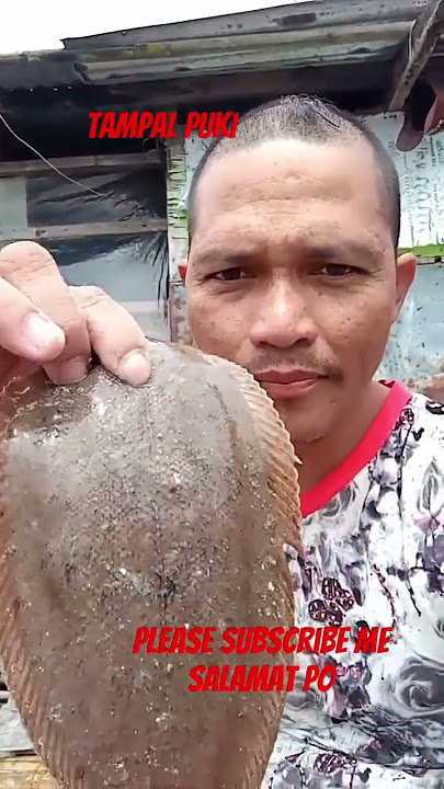 Tampal puki #alanwalker #remix #music #credittotheownerofthismusic #highlightseveryone #viralvideo