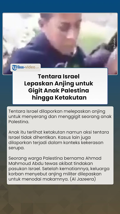 Tentara Israel Lepaskan Anjing Gigit Anak Palestina hingga Ketakutan, Kekerasan pada Anak Meningkat