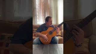 Pop Flamenco Music Guitar Solo #music #guitarperformance #popmusic #guitarsongs #sologuitarist
