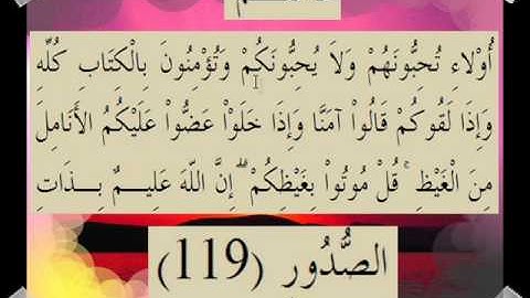 القران الكريم سورة آل عمران الأية  119