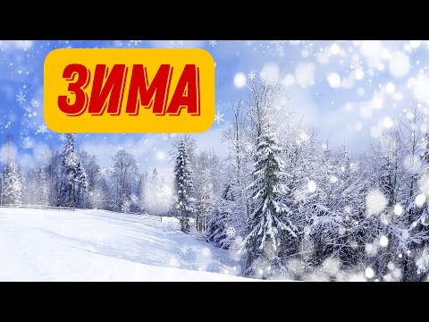 ❄ ЗИМА | Время года "ЗИМА" | Зимние месяцы. Развивающее видео для детей  | Зима видео