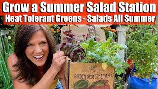 Grow a Summer Salad Station: Heat-Tolerant Greens for Fresh Salads All Season