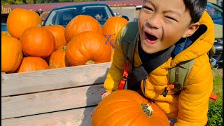 PUMPKINS FROM DIFFERENT COUNTRIES