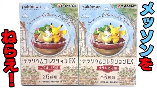 水辺のメッソンを狙え！ポケモン テラリウムコレクションEX ガラル地方編 ２箱 開封レビュー Pokemon Terrarium