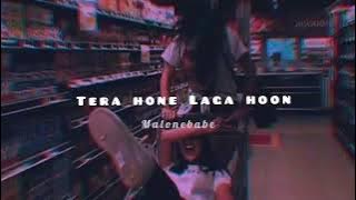 Tera Hone Laga Hoon - [slowed reverb]🎧
