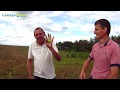 Рейдерський захват землі полтавською аграрною фірмою