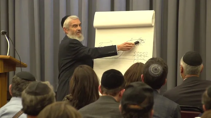 Where Does Morality Come From - Rabbi Dr Akiva Tatz