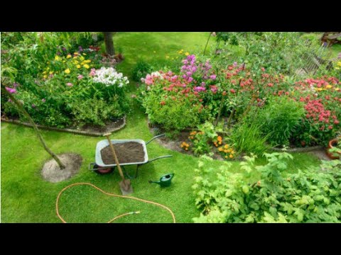 Video: Gli inquilini devono curare il giardino?