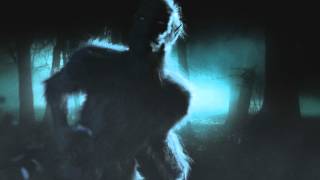 Werewolf 3ds max animation by Dmytro Teslenko CG 2,032 views 12 years ago 10 seconds