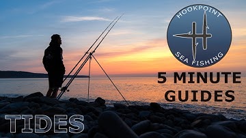 5 Minute Sea Angling Guides - Learn Everything You Need to Know About Tides for Shore Fishing