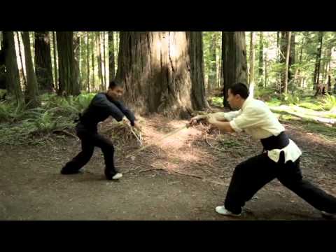 SAI - Chinese White Crane Double Sai (YMAA Shaolin) Nicholas Yang