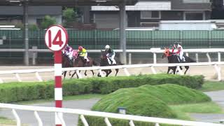 2025年10月9日浦和競馬能力調教試験