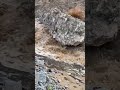ماشالله 