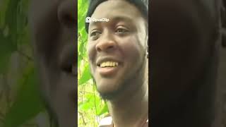 Lost in the Jungle. Wild Encounters & Shocking Truths Revealed! (AS2)