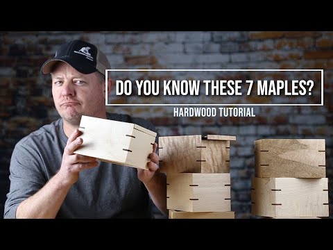 Did You Know These 7 BASICS ABOUT MAPLE LUMBER?